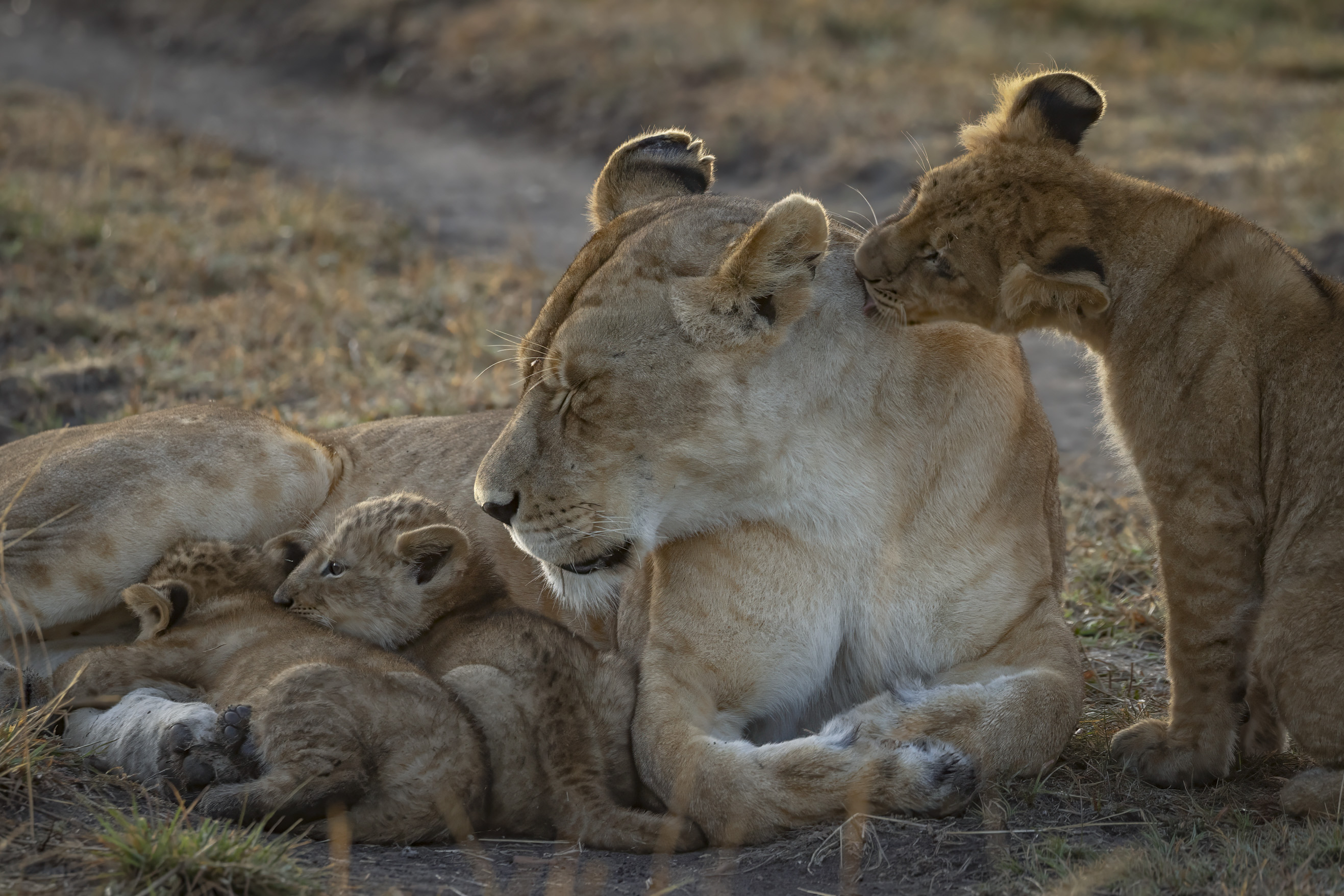 November 11, 2022-061911-2-Edit.jpg